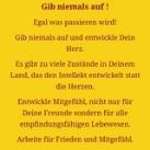 CEVAT'S KOLLOIDE UND FREQUENZEN ❤️❤️❤️