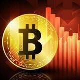 BITCOIN_MUTUAL_FUNDS_LAB