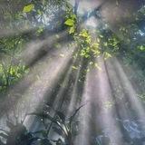 ☀