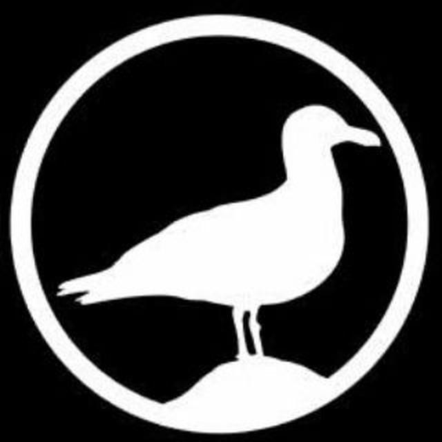 Livingstone Snowboards