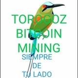 🇸🇻🇸🇻TOROGOZ BITCOIN MINING EL SALVADOR🇸🇻🇸🇻