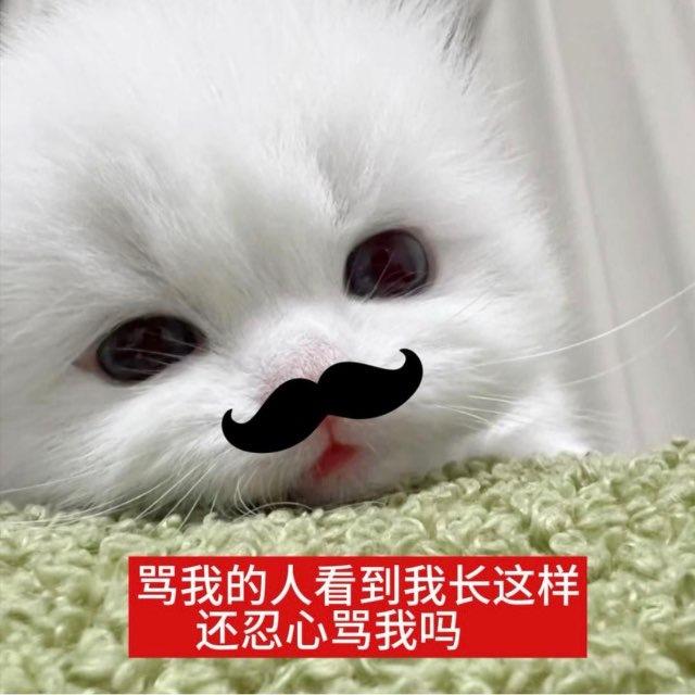 柳的业务频道