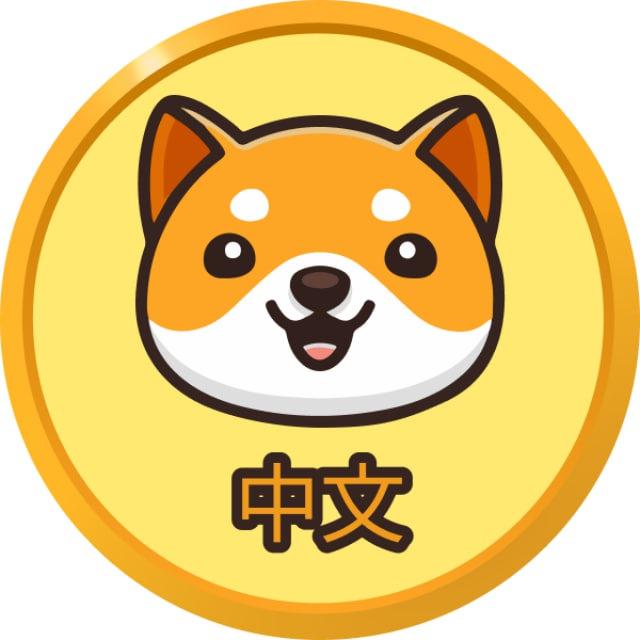 Baby Doge 公告