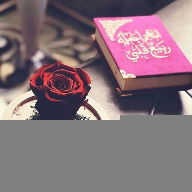 🌹🌹ربيع القلوب🌹🌹