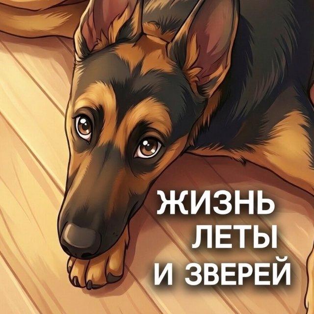 Жизнь Леты и зверей