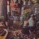 Herbolaria y Plantas Medicinales