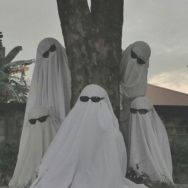 𝐂𝐥𝐨𝐰𝐧 𝐌𝐞𝐦𝐞𝐬