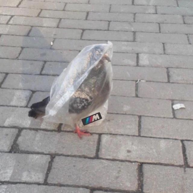 Возбуждать наша слабость🤪