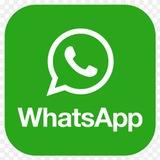 WhatsApp、 WhatsApp超级号、WhatsApp商业蓝标号