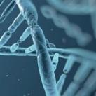 biology 1 Dr/jassim