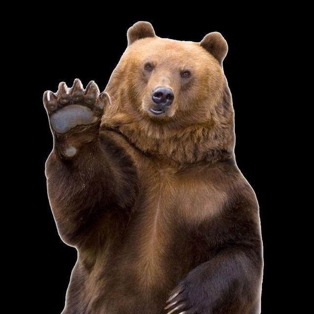 🐾UnerklärBär🐾