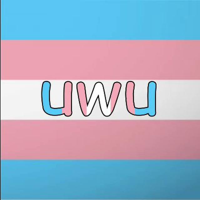 trans_memes