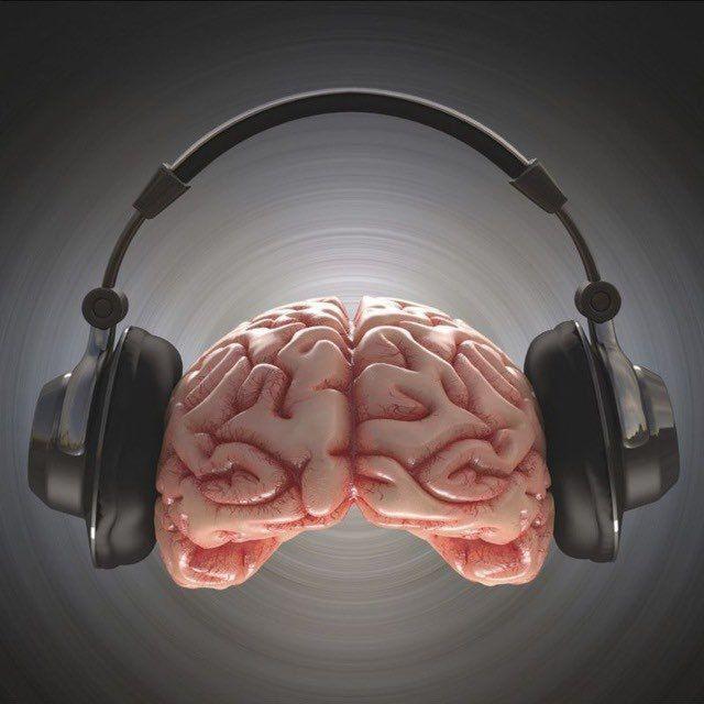 ✨️Music🎶🎵🎼