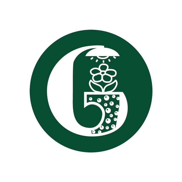 Gorshkoff