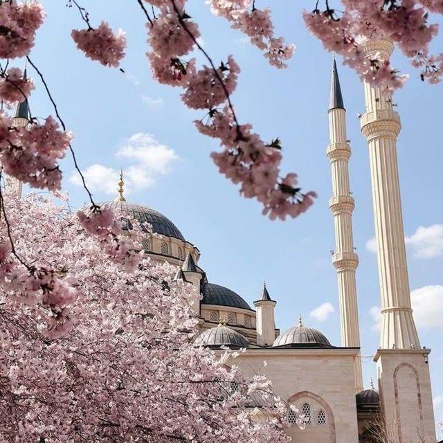 Ahbab-ı Uhrevi 📖