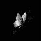 بوستات حزينه 🖤🥀