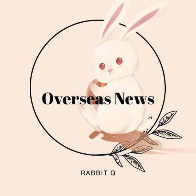 흰토끼 해외뉴스