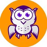 BUBO-КВИЗ
