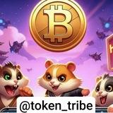 Token Tribe (کانفیگ رایگان)