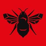 Лондонский Улей | Brentford FC