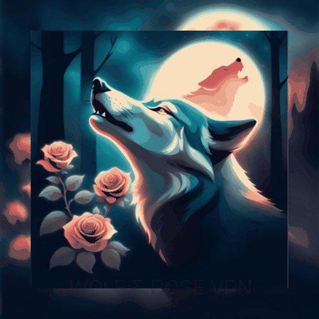 Wolf & Rose VPN