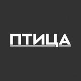 Птица | Медиа из Сибири