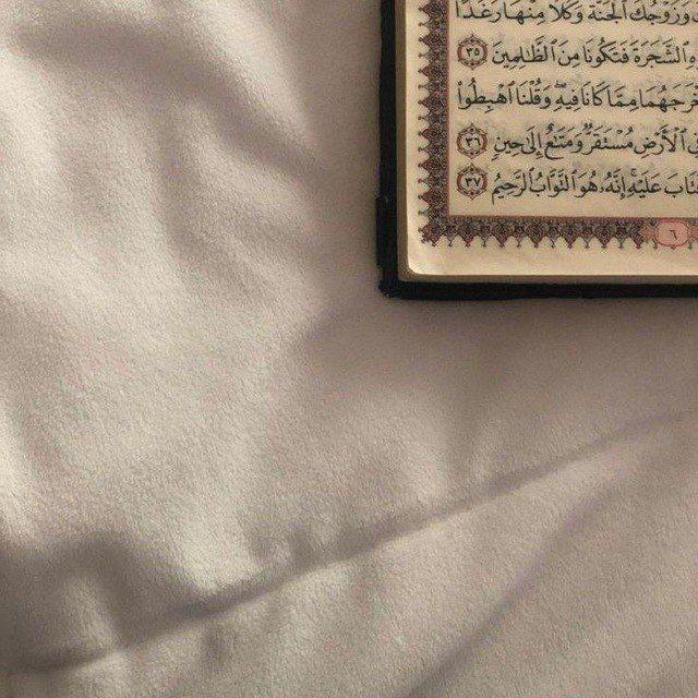 تَائِبُون.