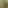 Guzmanviews