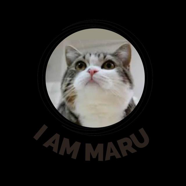 I am Maru Portal (ETH)