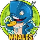 The Whale