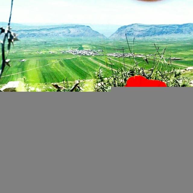 روستای من یاریوگ