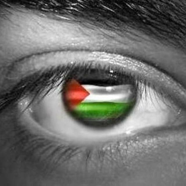 الصف الخامس - المكتبة الفلسطينية الشاملة