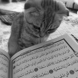 SHER♡