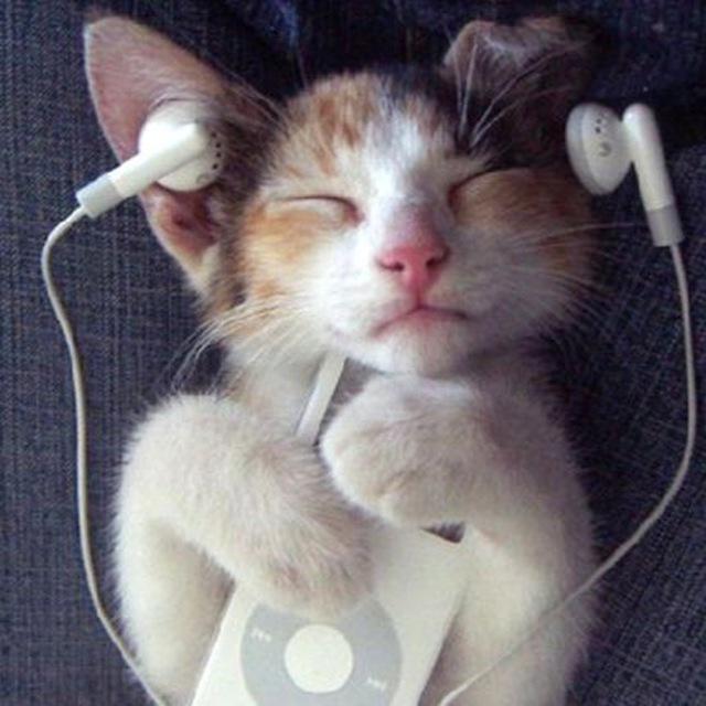 So insane music
