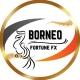 Borneo Fortune FX 💸