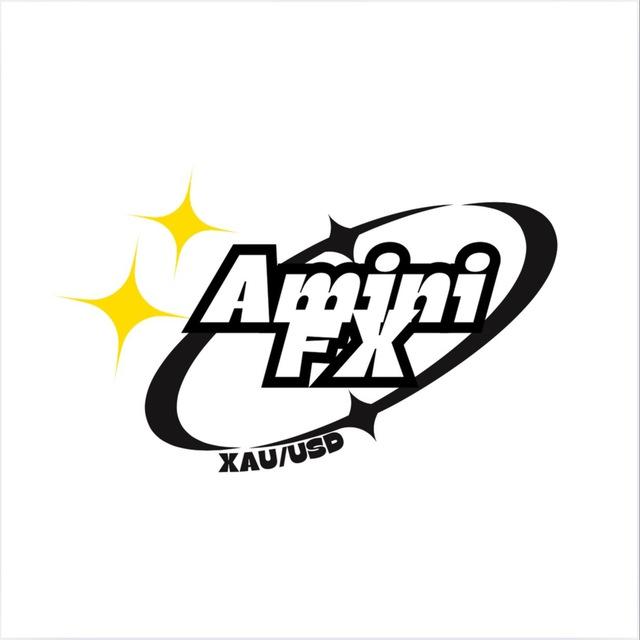 Amini FX SKR Education
