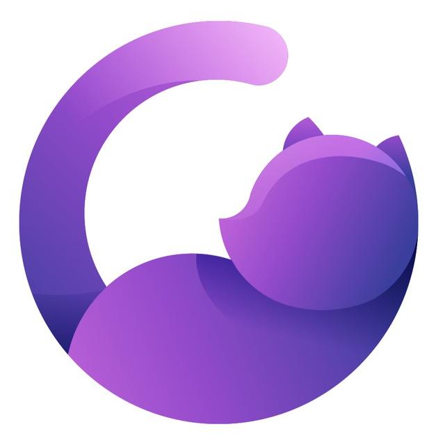 布丁猫|官方频道