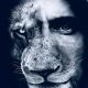 LION Media