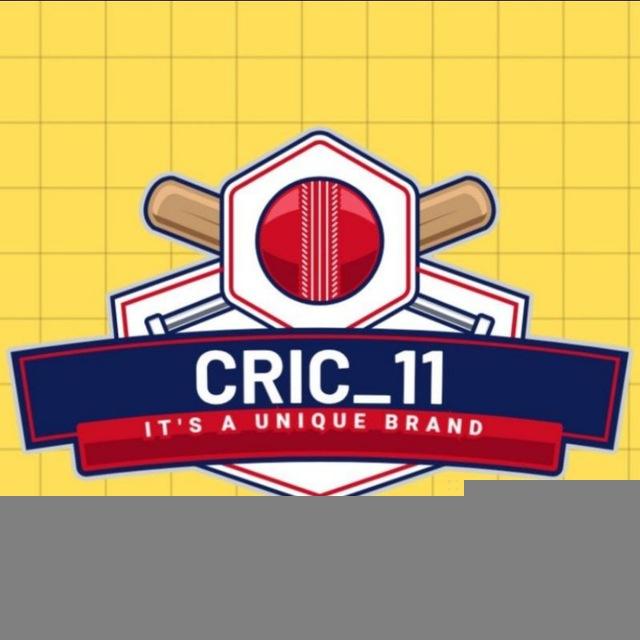 CRIC11 Fantasy Expert