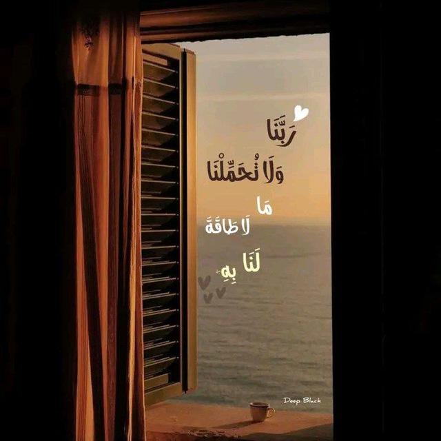 ⤶رِفـــق⎮𓂆🤎