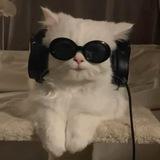 CHU MUSIC