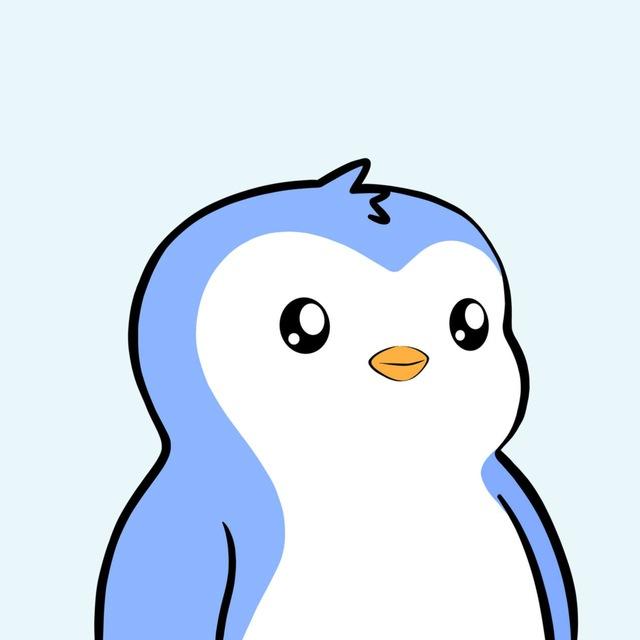 PENGU Türkiye