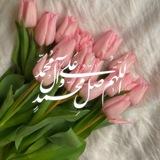 مُنَبّه الصَّلَوات