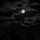 Mo🌛n