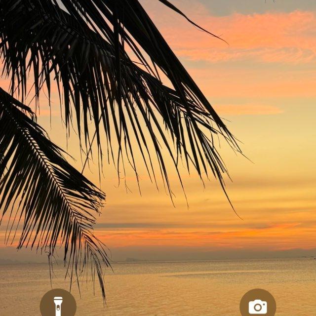 ТИ з ТВОРЦЕМ 🕊️