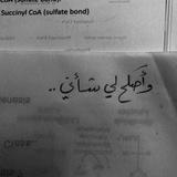 أحَلامنا.