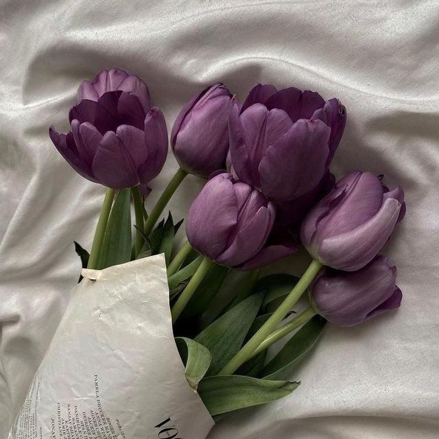 أثر لِأجمل مُؤنسة 🤍.