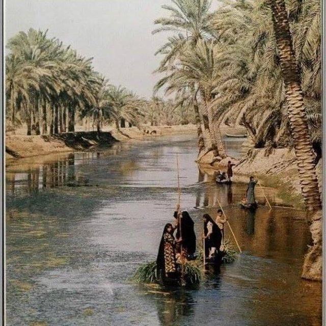 اَحجَايَات اَهْلِنَا