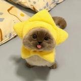 Team Stellar-Mew