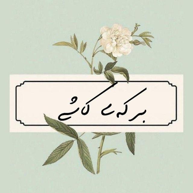 برکه‌ی کاشی؛